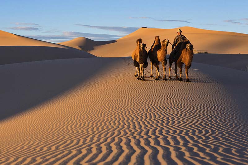 mongolia gobi desert 